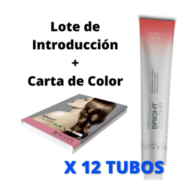 Tassel - INTRODUCTION Lot de 12 colorants XXL + nuancier gratuit