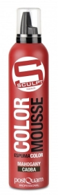POSTQUAM - Mousse Couleur acajou 300 ml (PQP05009)
