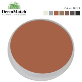 DermMatch - Maquillage cheveux rouges 40 grammes