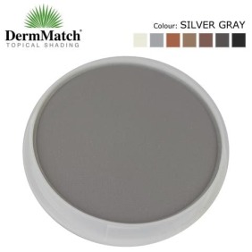 DermMatch - Maquillage 40g cheveux GREY  